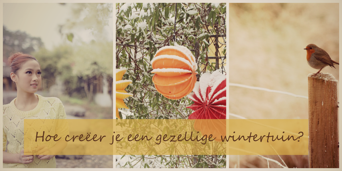 Hoe creëer je een gezellige wintertuin?