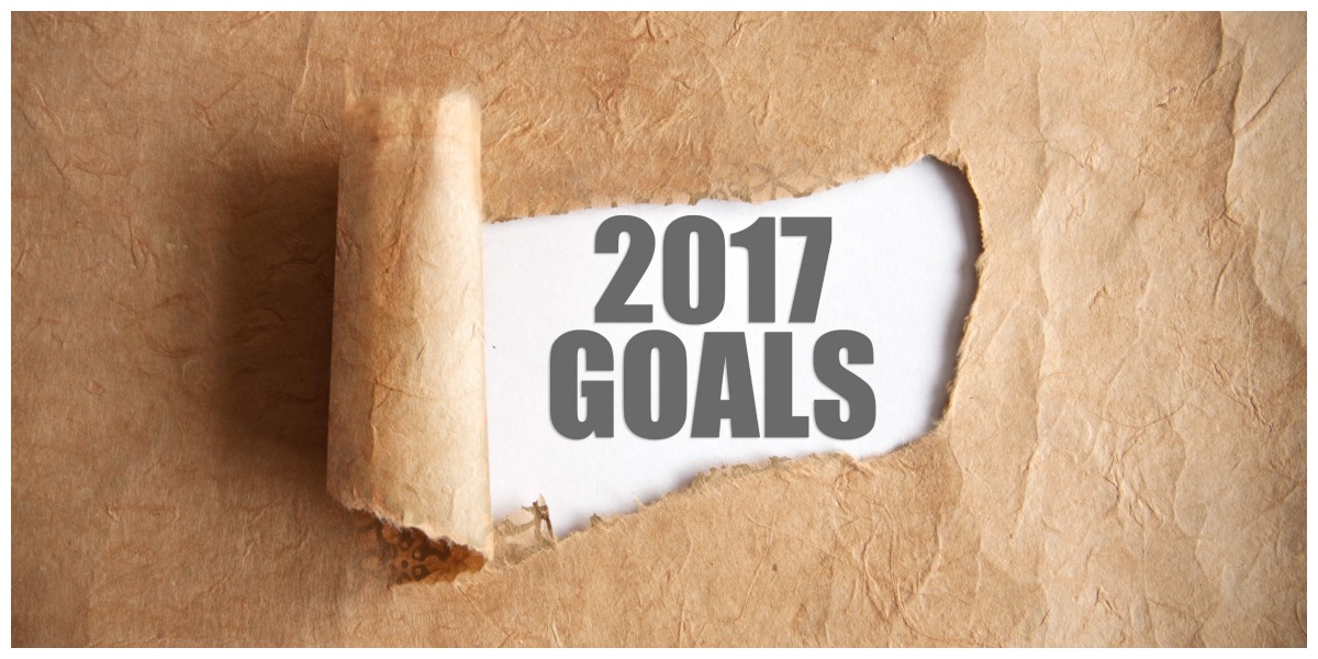 Professionele doelen voor 2017