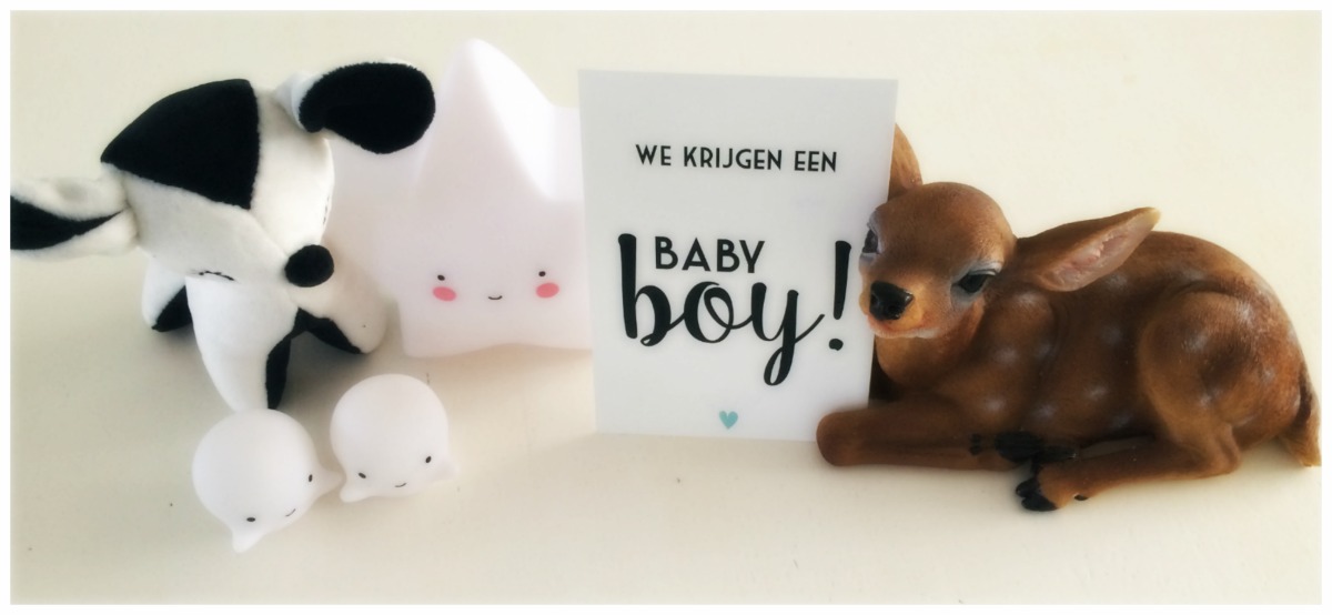 Zwemmen met kerst, genderreveal en Oud en Nieuw