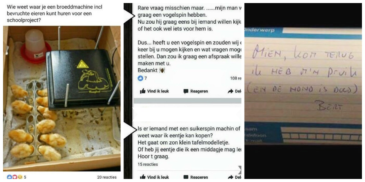 5 puisten met een gele kop 