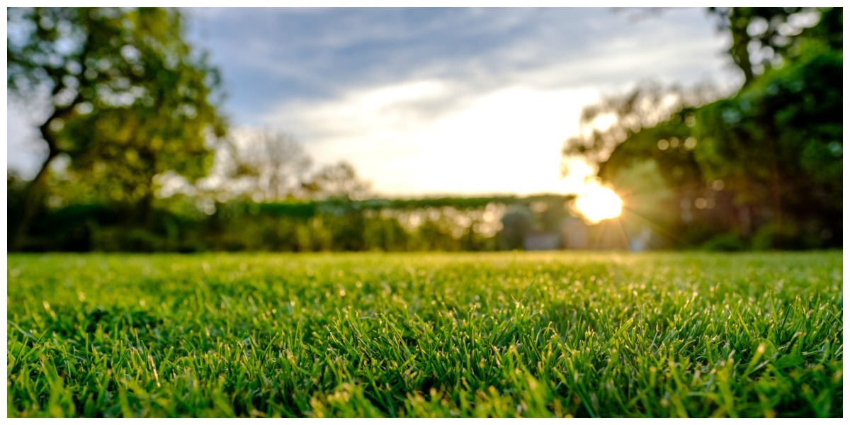 5 tips om je tuin zomer klaar te maken | tuin snel zomerklaar