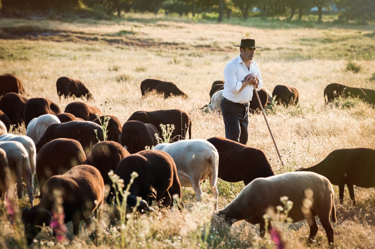 op stap met herder Portugal