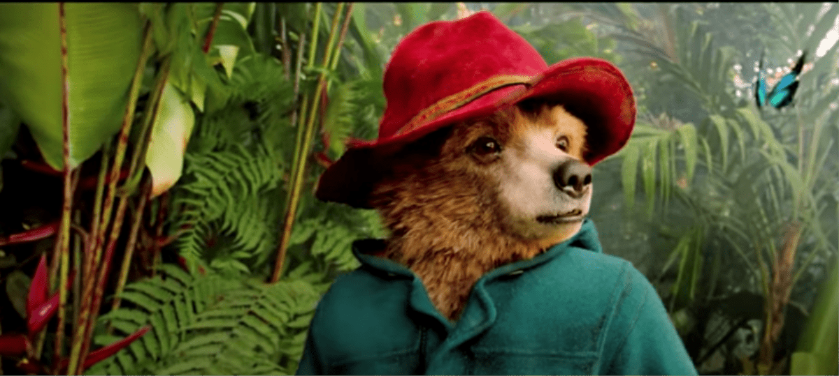 Beertje Paddington Netflix