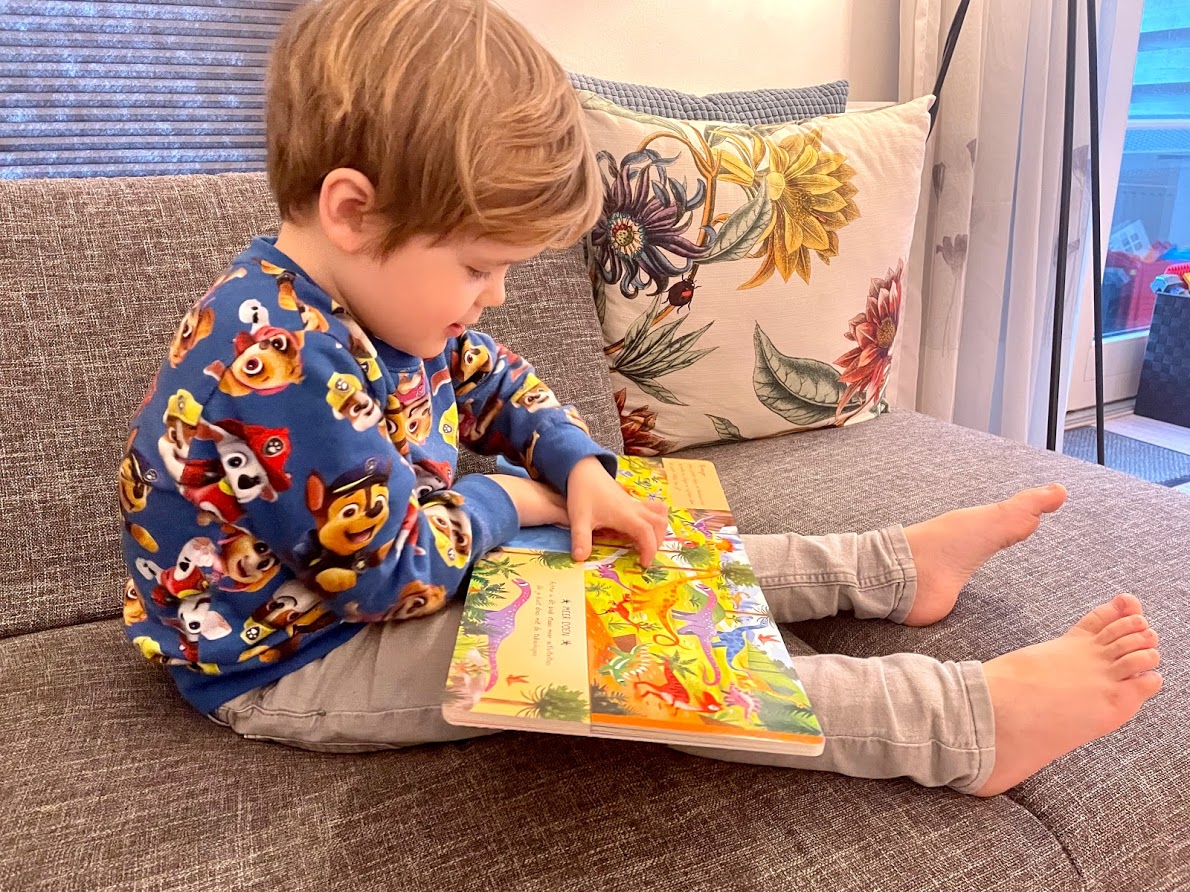 cadeautje voor een peuter, 101 dinosaurussen in dit boek