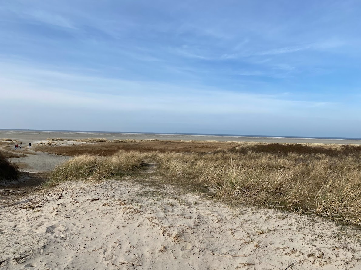  duinen schiermonnikoog