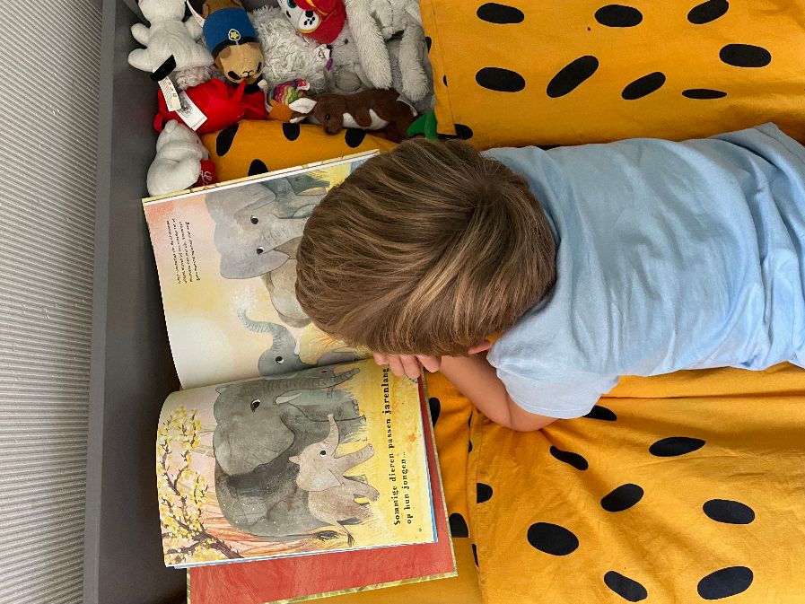 ontdek dierenbaby's zelf lezen