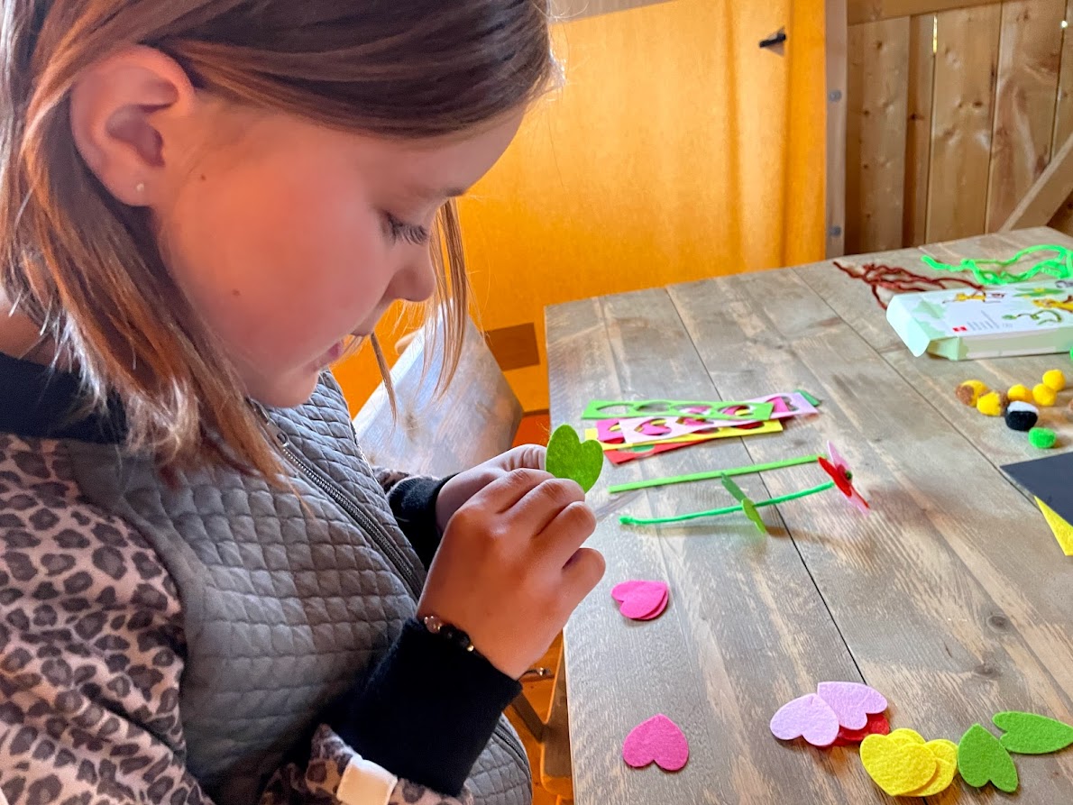 vilten bloemen maken DIY HEMA