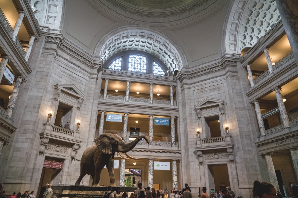 Het Smithsonian National Museum of Natural History