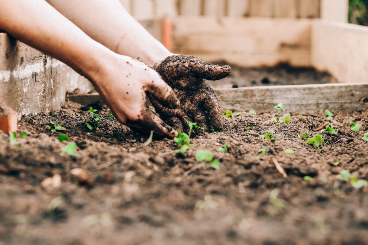  minimoestuin in kindvriendelijke tuin