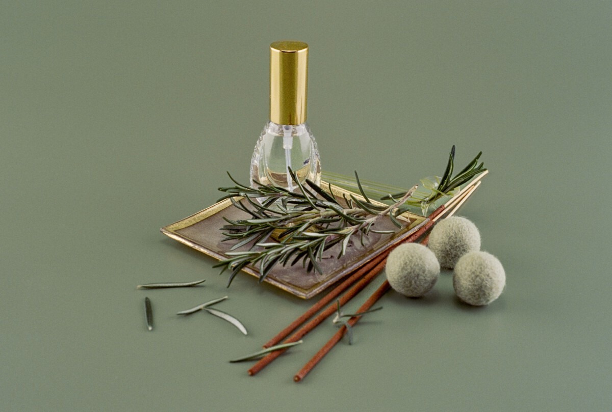 Rozemarijn etherische olie, Rosemary | Young Living Essential Oils
