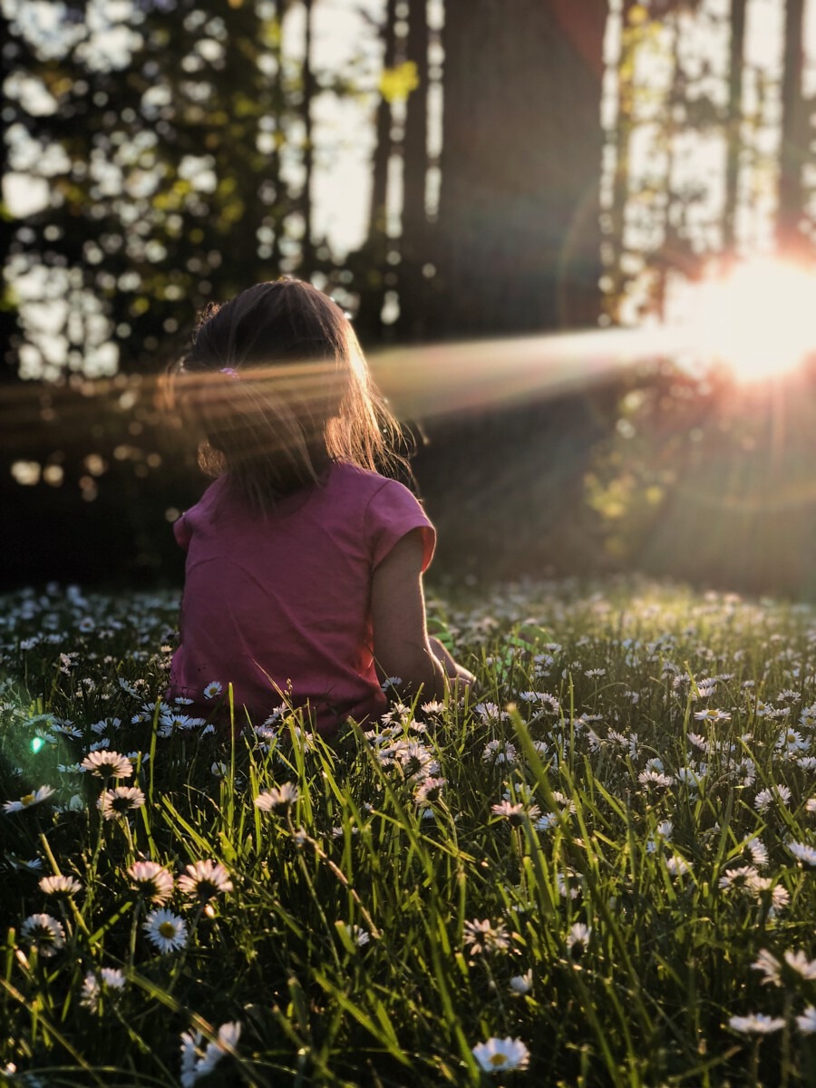 de kracht van de natuur inzetten bij ontprikkelen