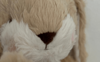 Bunnies by the Bay in vier nieuwe kleuren