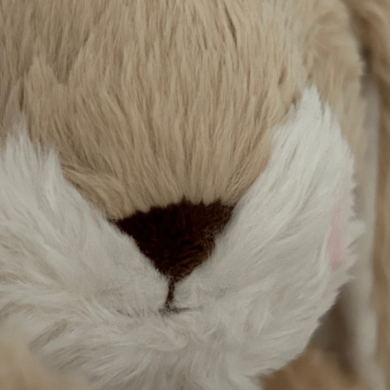 Bunnies by the Bay in vier nieuwe kleuren