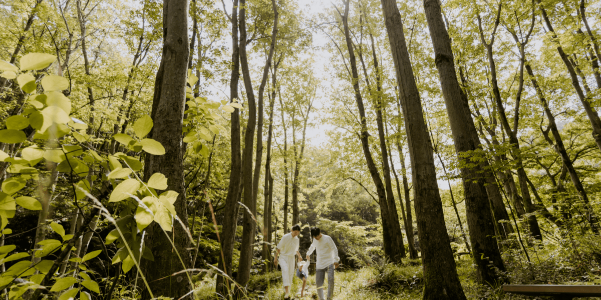 Op avontuur in het bos [ + win een Pieter Konijn Sterrenprojector]