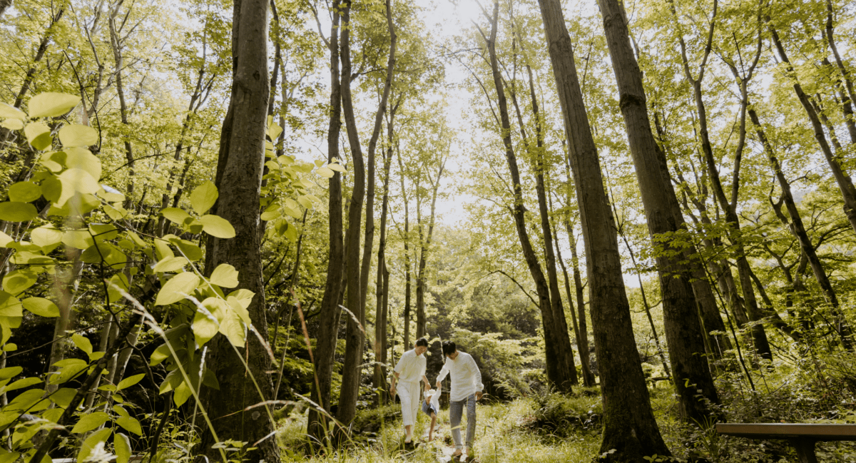 Op avontuur in het bos [ + win een Pieter Konijn Sterrenprojector]