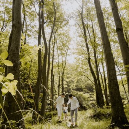 Op avontuur in het bos [ + win een Pieter Konijn Sterrenprojector]