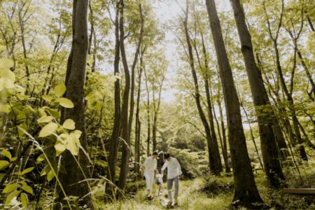 Op avontuur in het bos [ + win een Pieter Konijn Sterrenprojector]