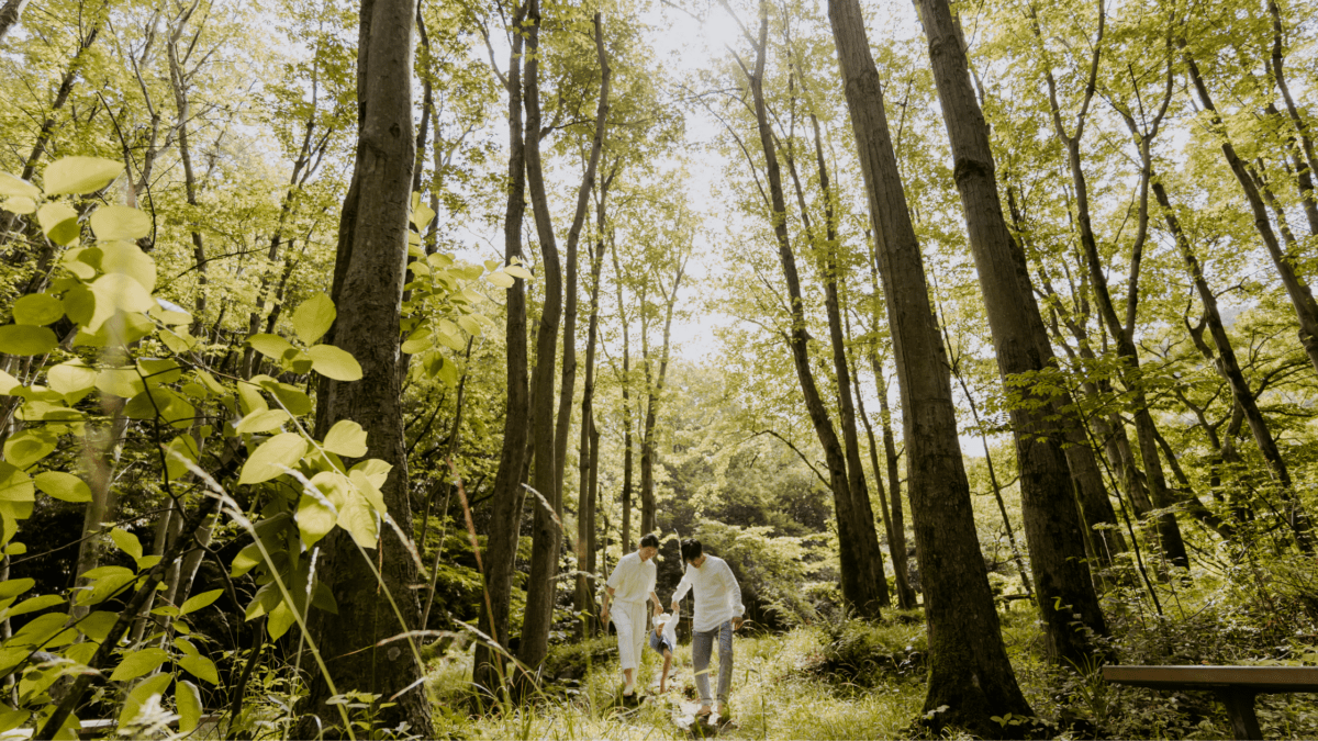 Op avontuur in het bos [ + win een Pieter Konijn Sterrenprojector]
